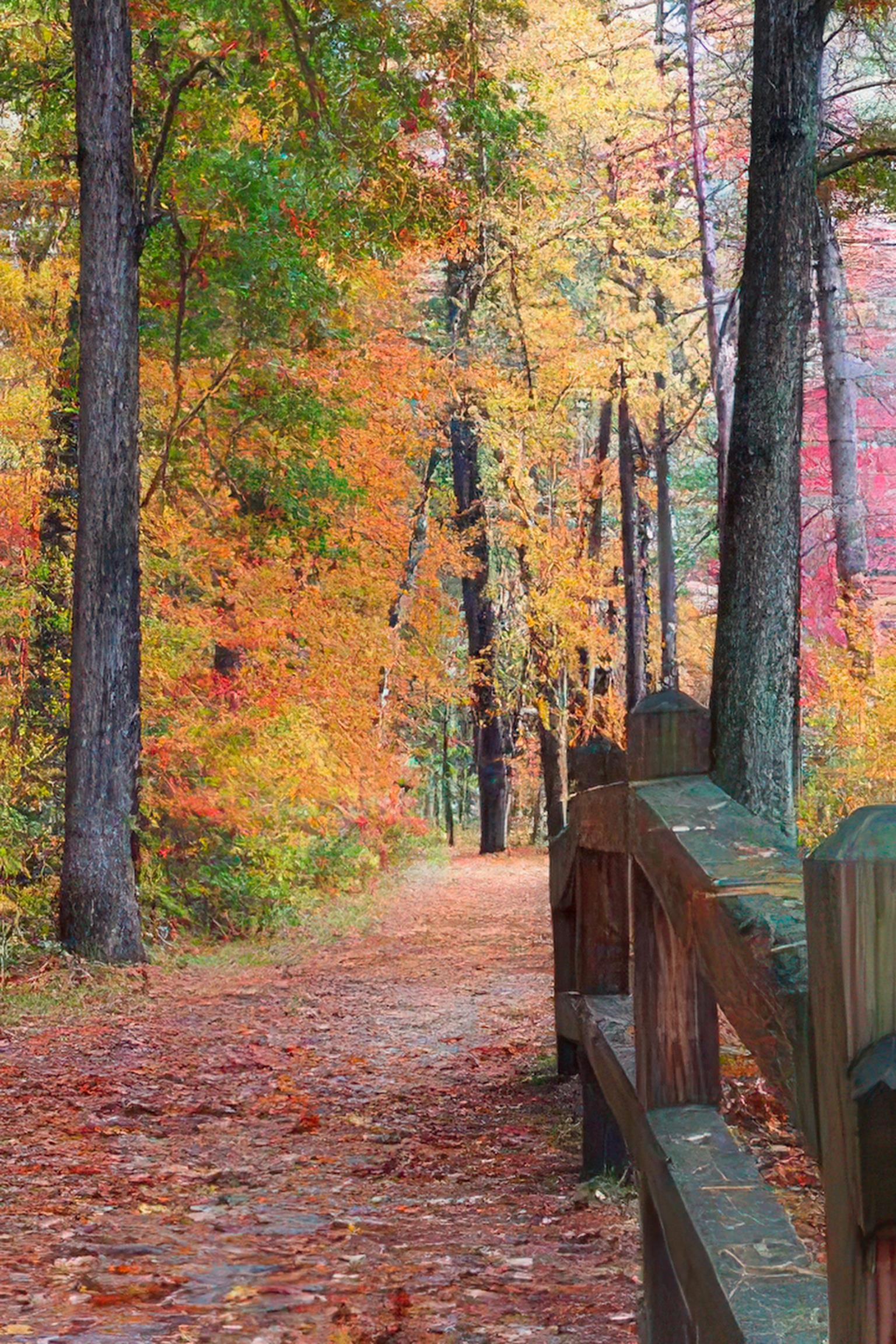 9 Bartemus Trail 303