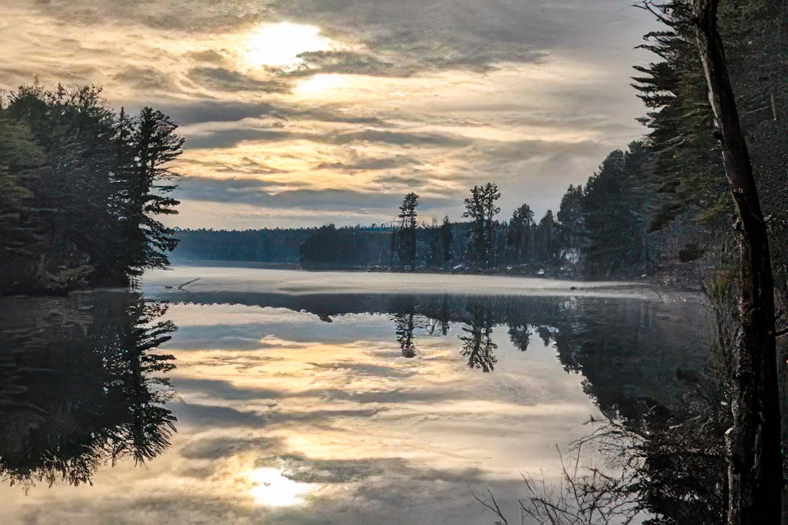 9 Bartemus Trail 303