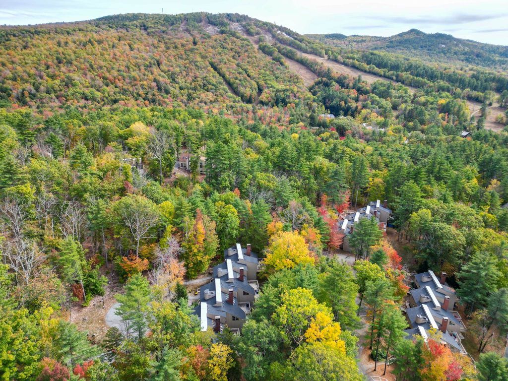 Photo of 72 Cranmore Woods Lane #2, Conway, NH 03818 (MLS # 5066297)