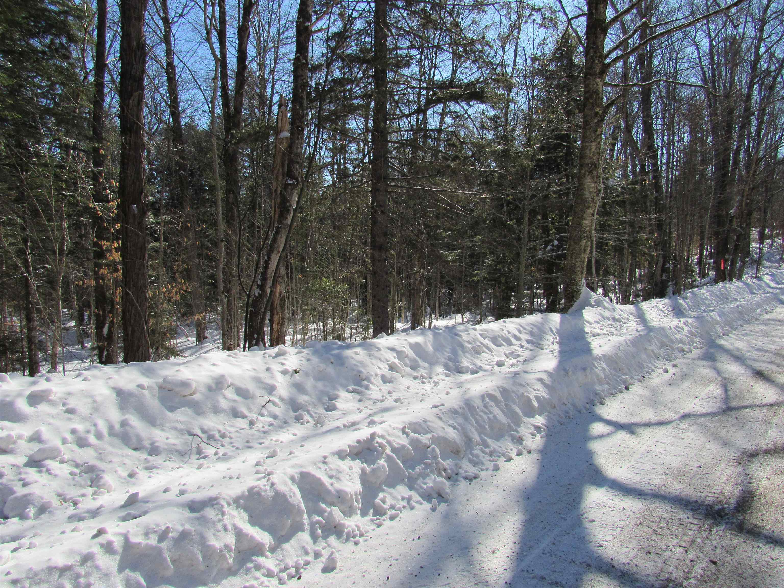 Photo 1 of 5 — 000F-320 Bourbon Run, Jamaica, VT 05343