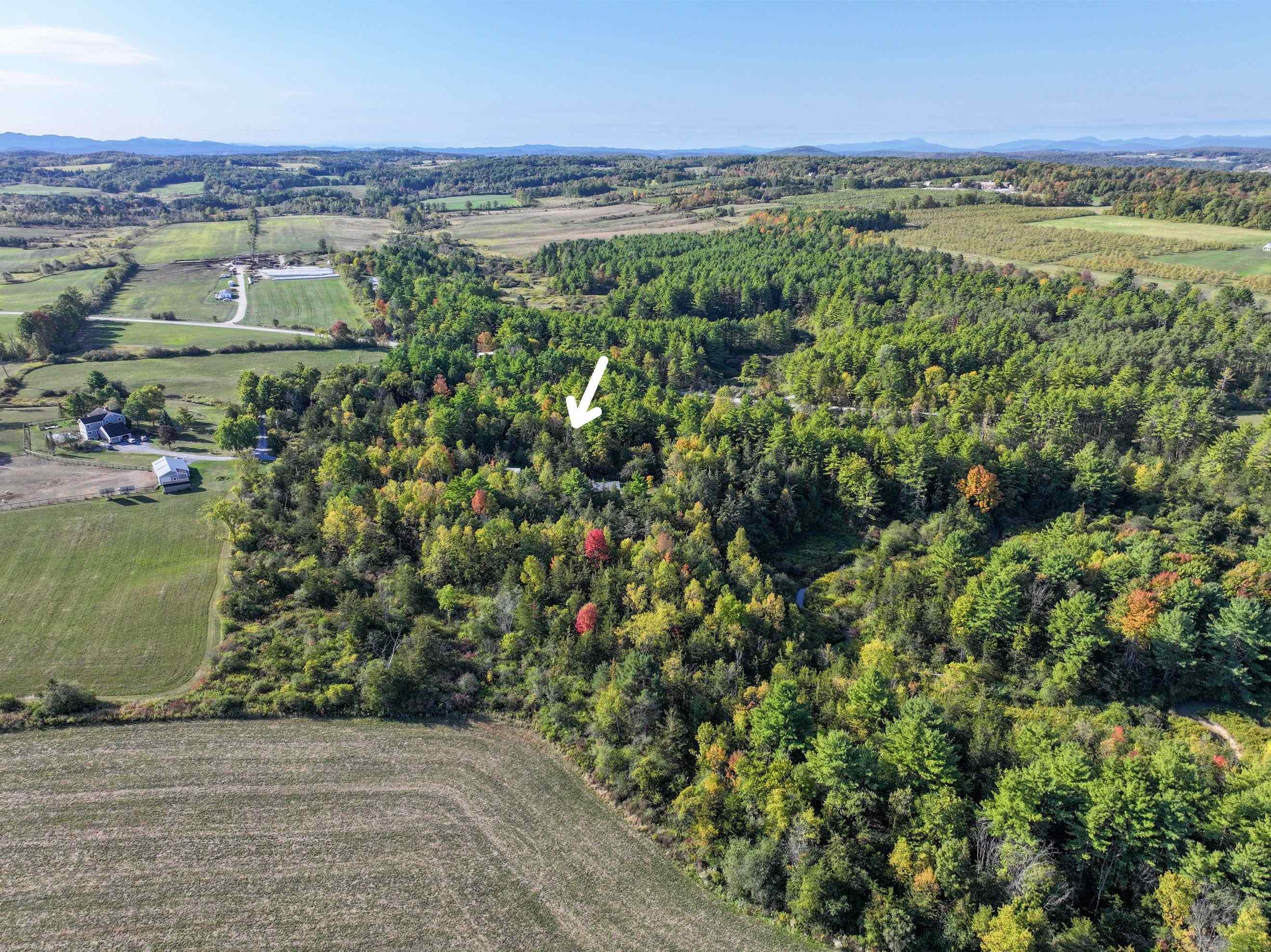 205 Cedar Ridge Drive