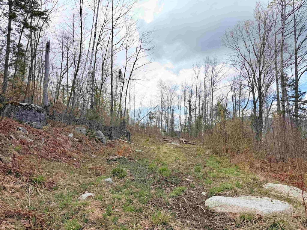 Photo of 00 Route 3 North #43 &amp; 46, Carroll, NH 03595 (MLS # 5089277)