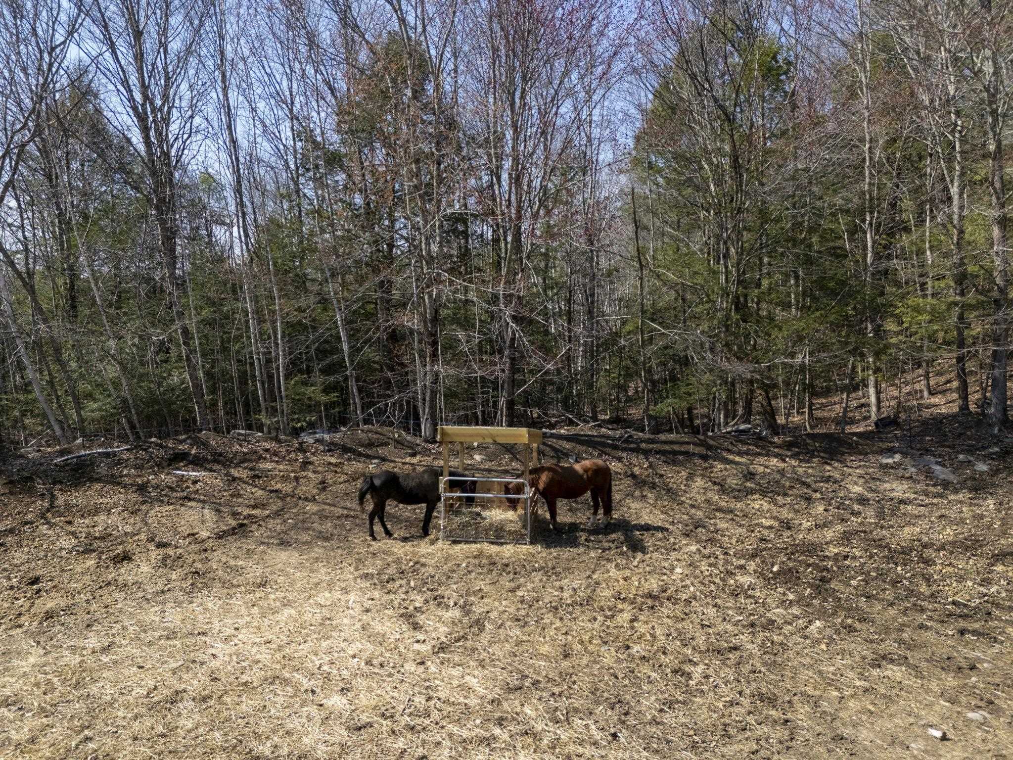 73 Mount Delight Road