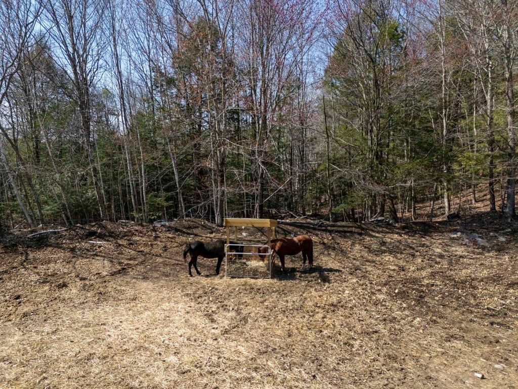 Photo of 73 Mount Delight Road, Deerfield, NH 03037 (MLS # 5083302)