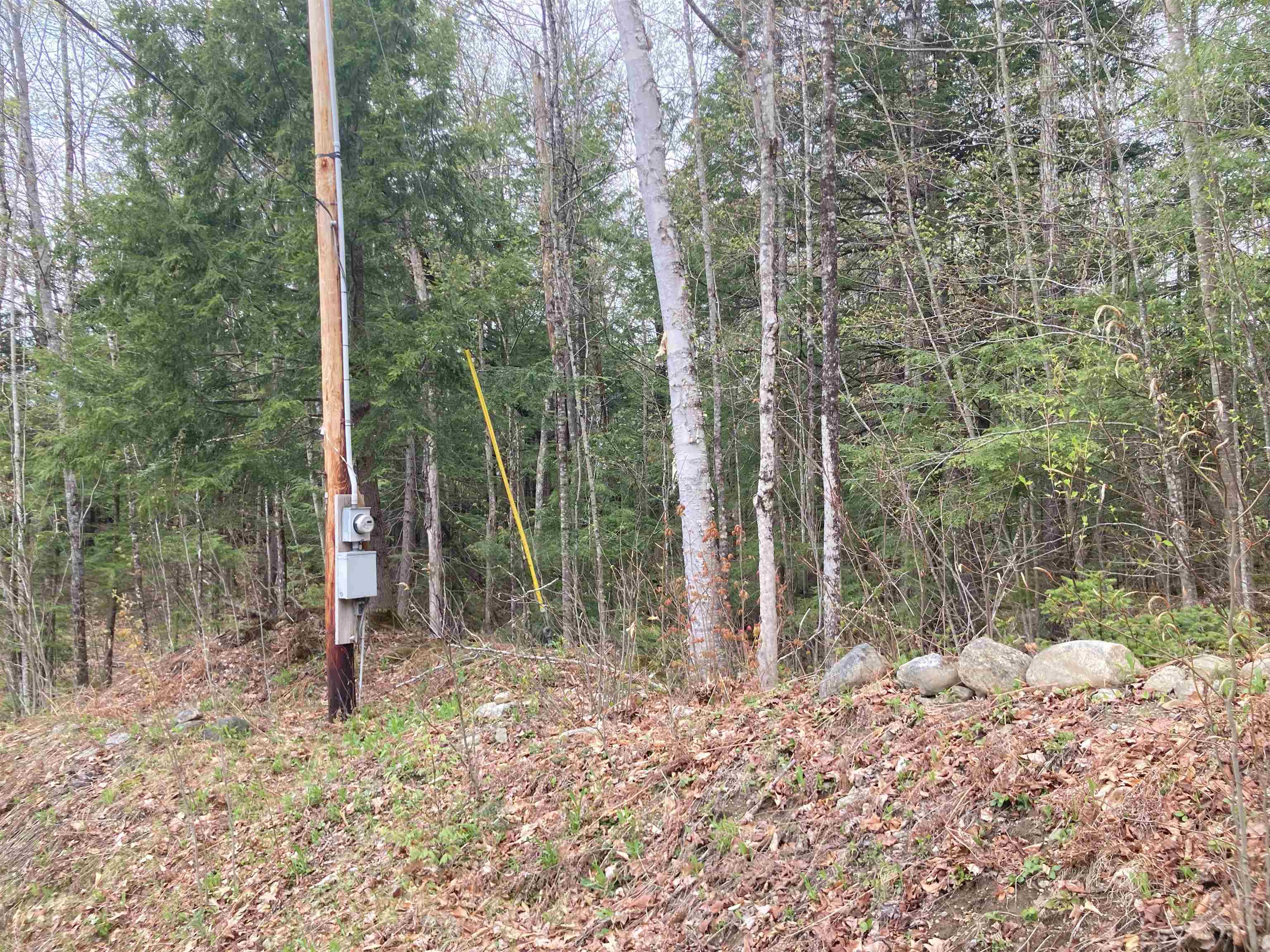 310 Campground Road