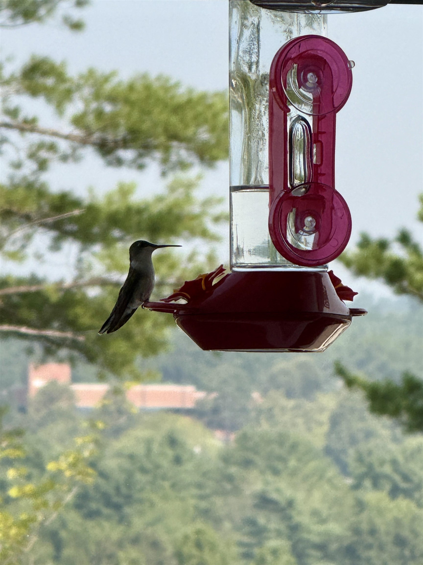 Manchester, New Hampshire 03104, United States, 4 Bedrooms Bedrooms, ,3 BathroomsBathrooms,Residential,Active,165433