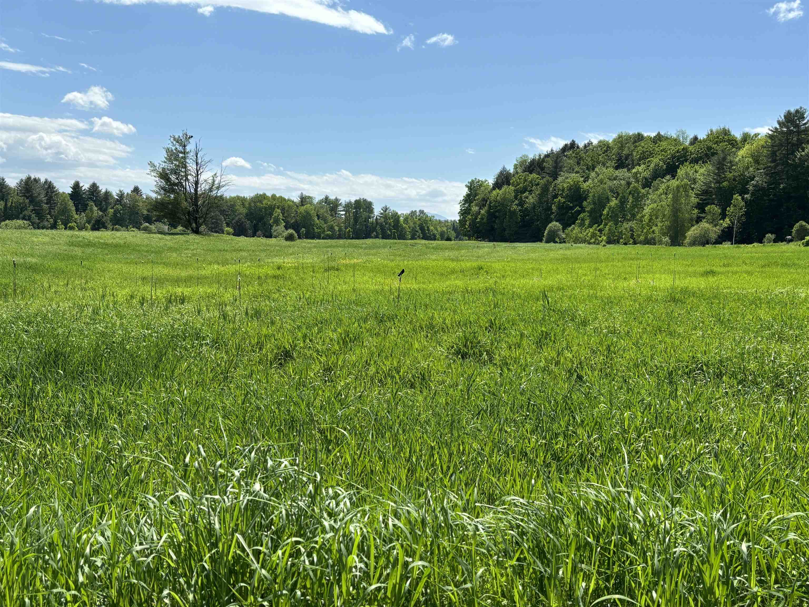 Lot #5 Lawrence Road 5