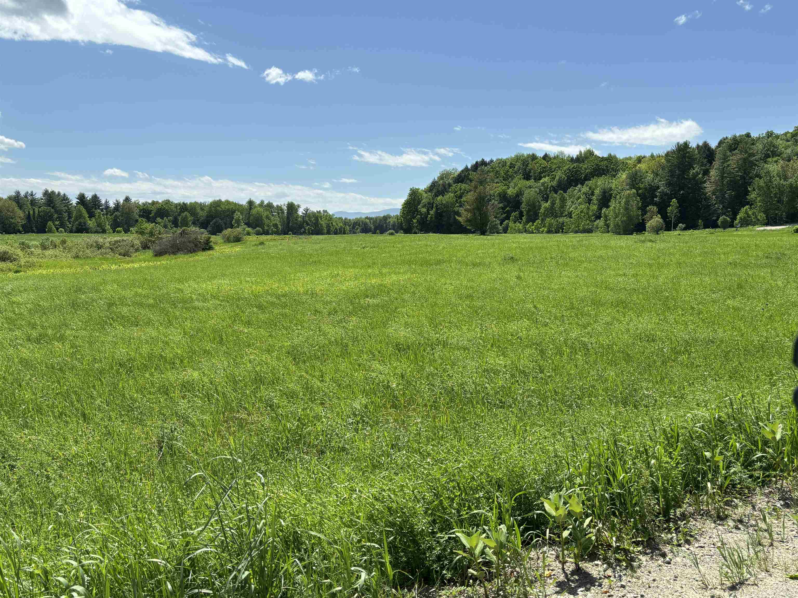 Lot #5 Lawrence Road 5