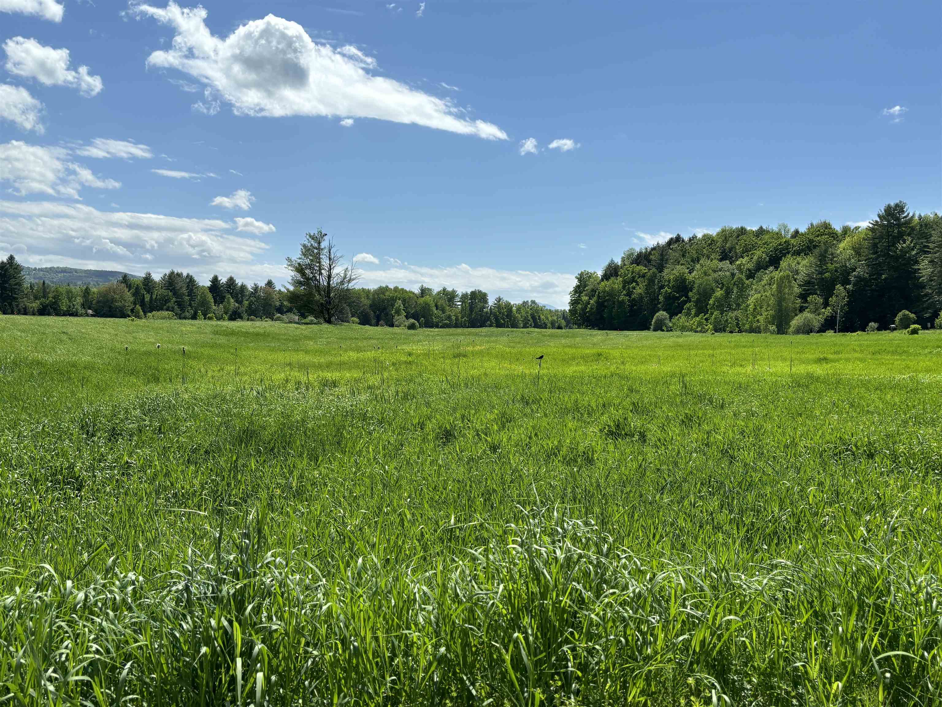 Lot #5 Lawrence Road 5