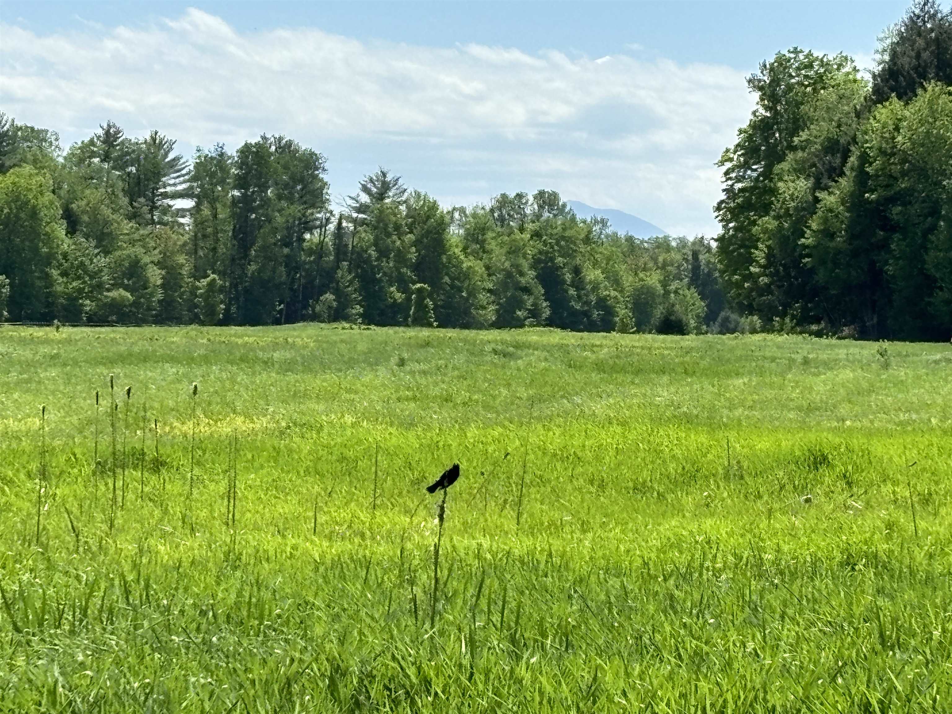 Lot #5 Lawrence Road 5