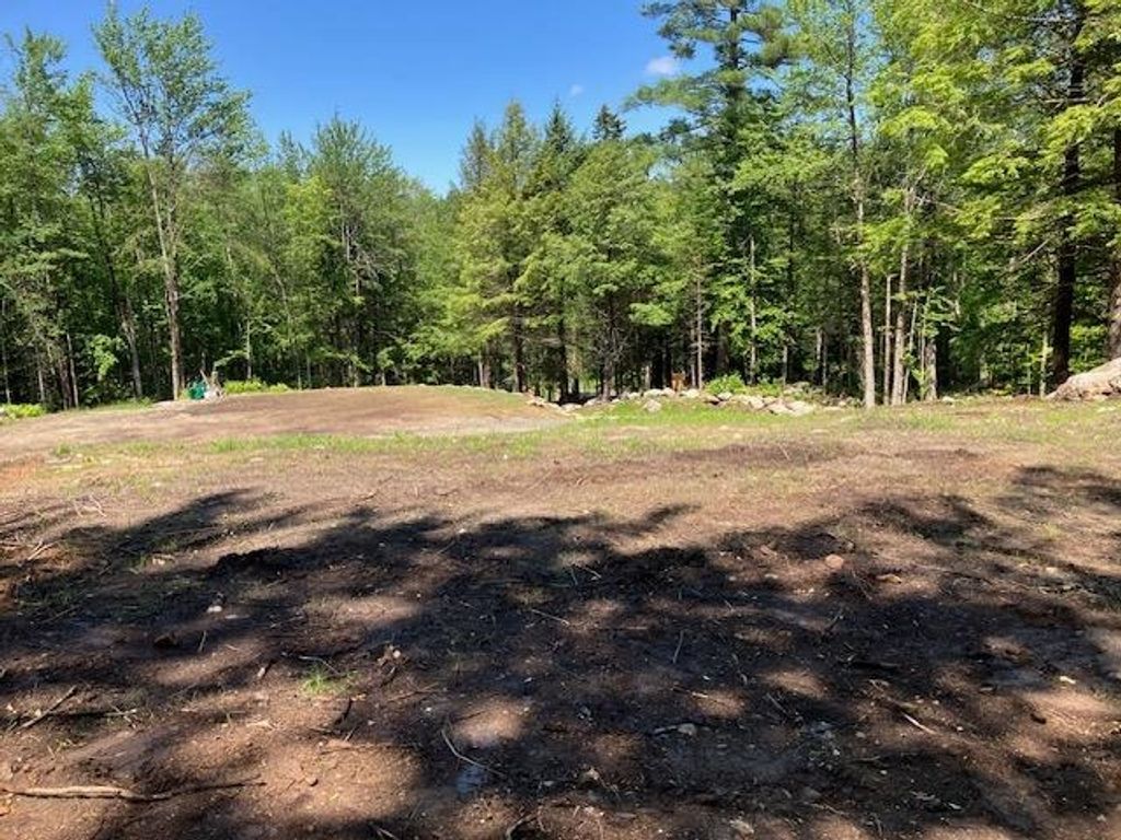 Photo of 997 NH ROUTE 4A #Map 000004 Lot 00001, Wilmot, NH 03287 (MLS # 5051336)