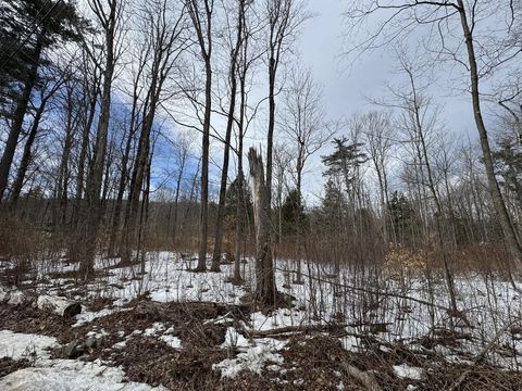 17 Chamberlain Drive Salisbury VT 05769