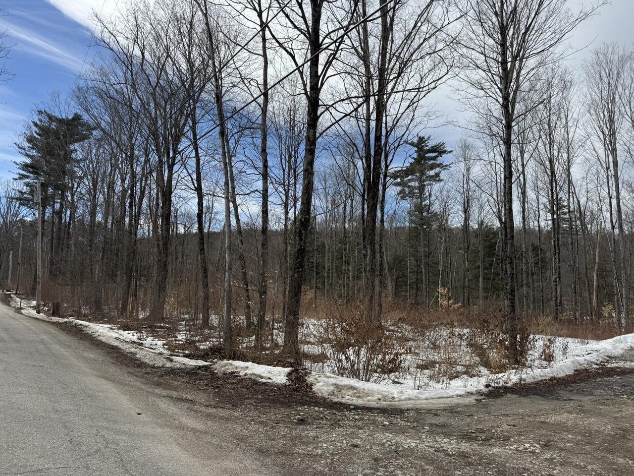 17 Chamberlain Drive