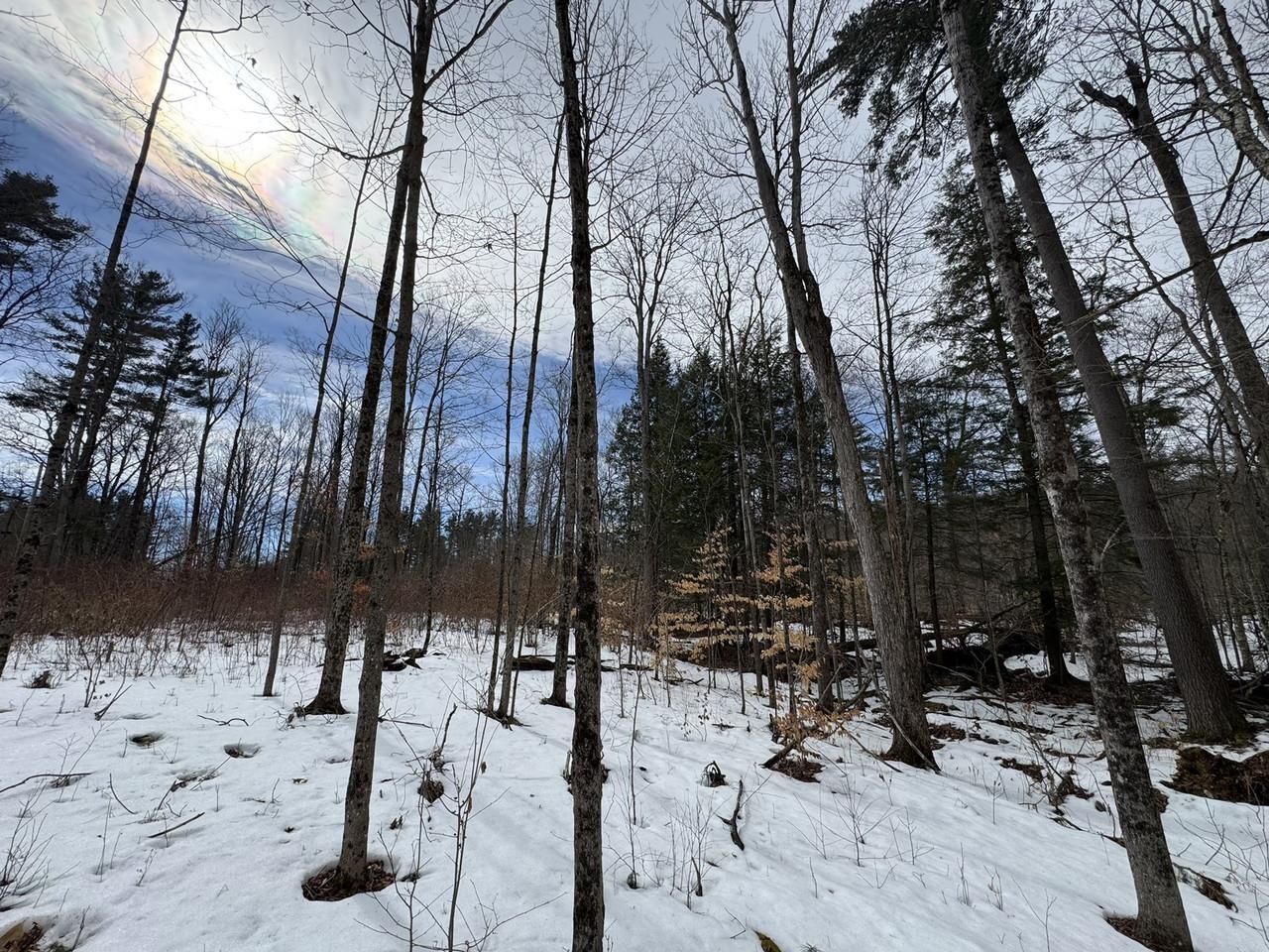 17 Chamberlain Drive