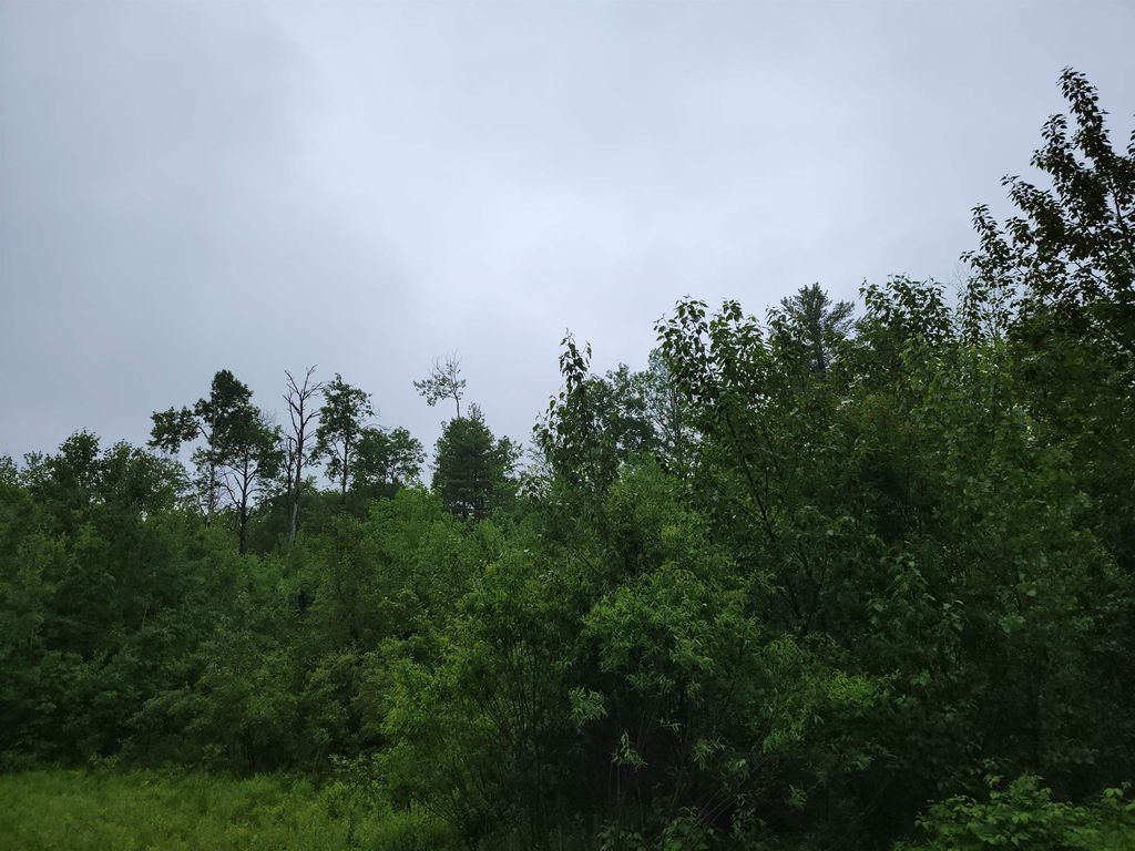 Photo of 105 Alpenhof Road, Bethlehem, NH 03574 (MLS # 5051491)