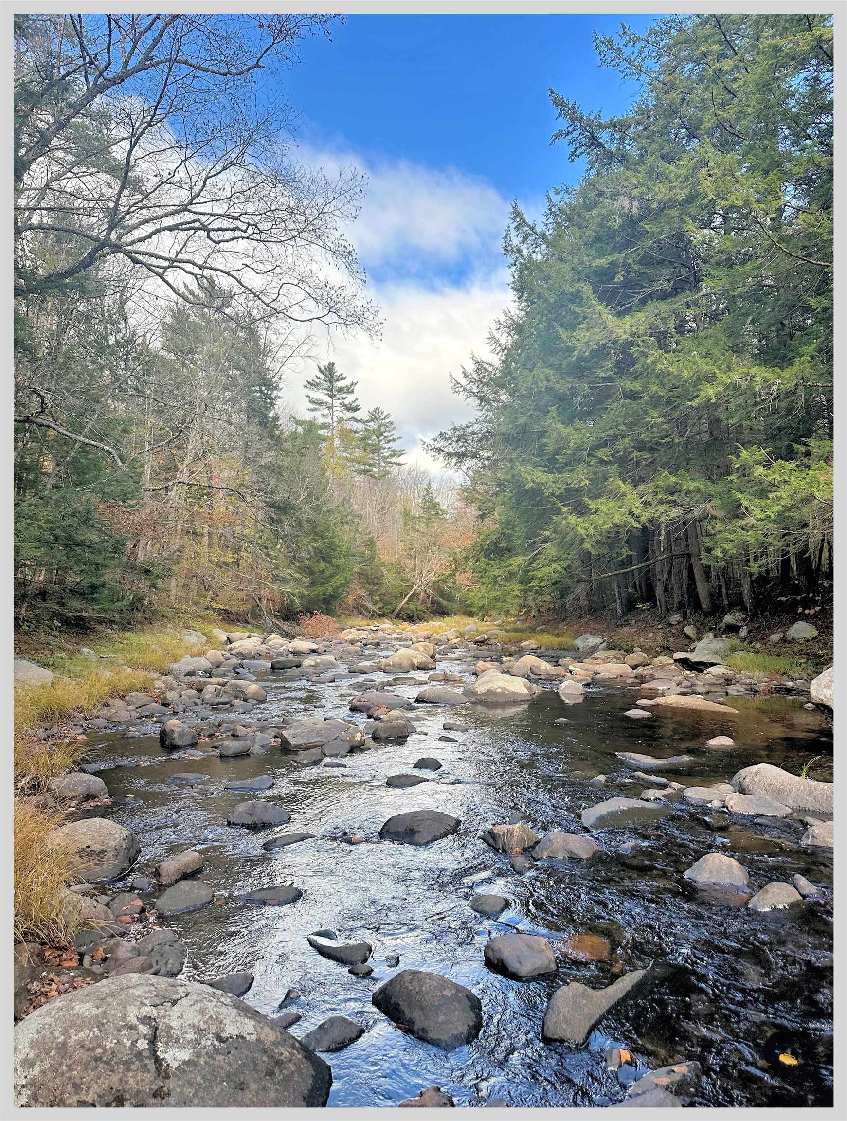 Lot #3 North Dorchester Road