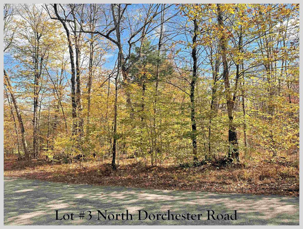 Photo of 3 North Dorchester Road, Wentworth, NH 03282 (MLS # 5066321)