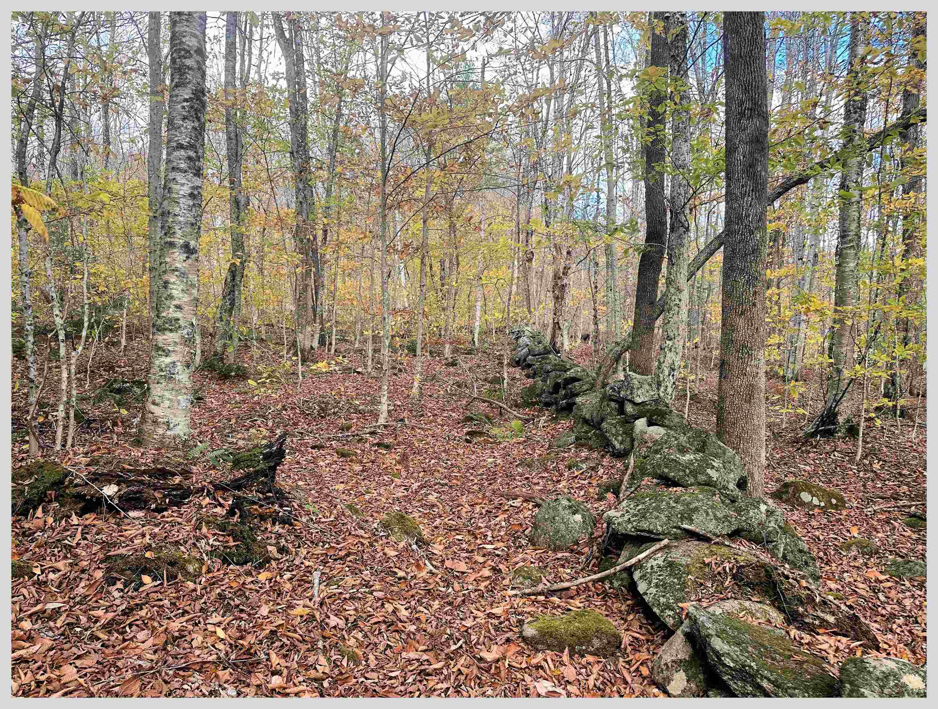 Lot #3 North Dorchester Road