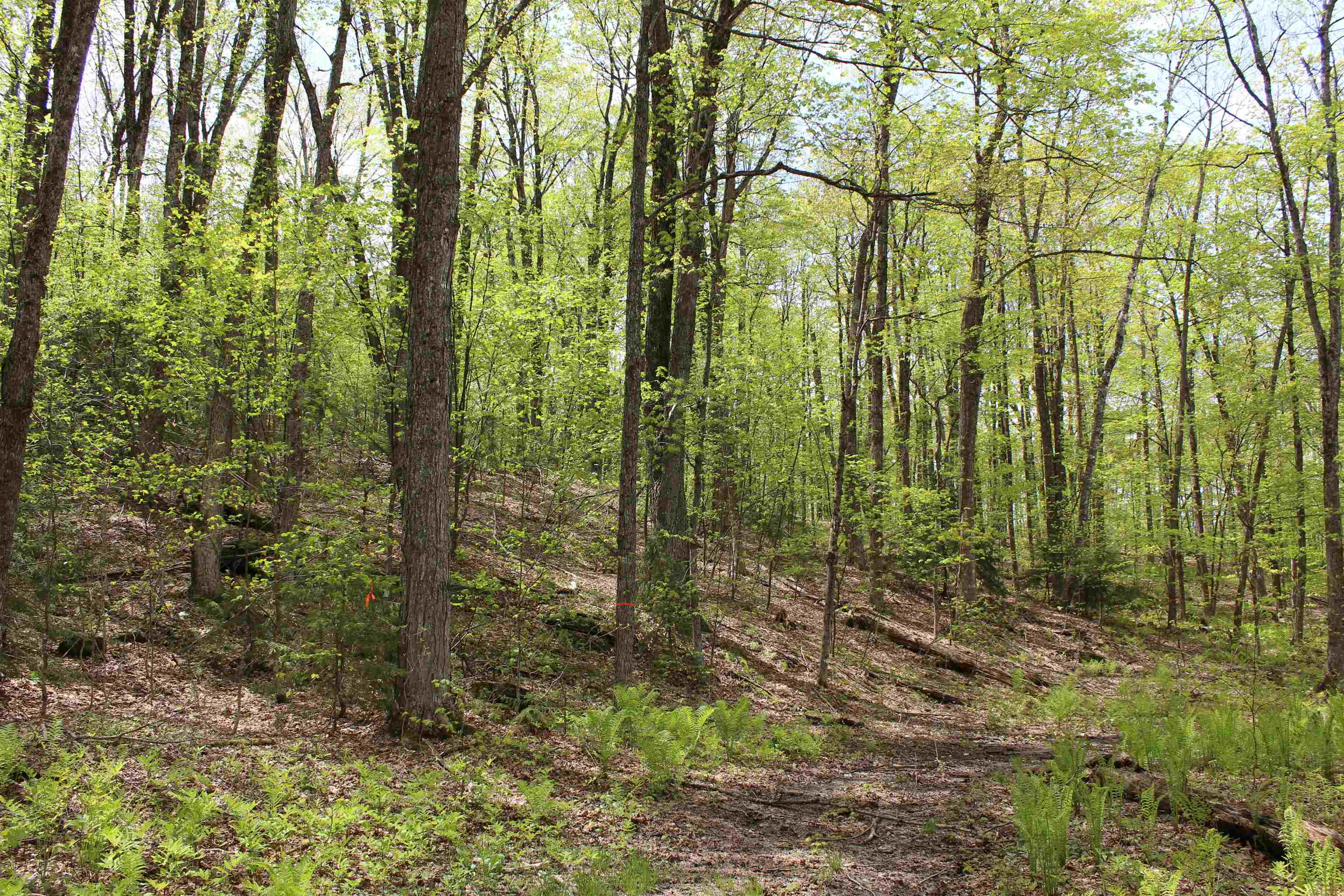 00 Long Hill Road