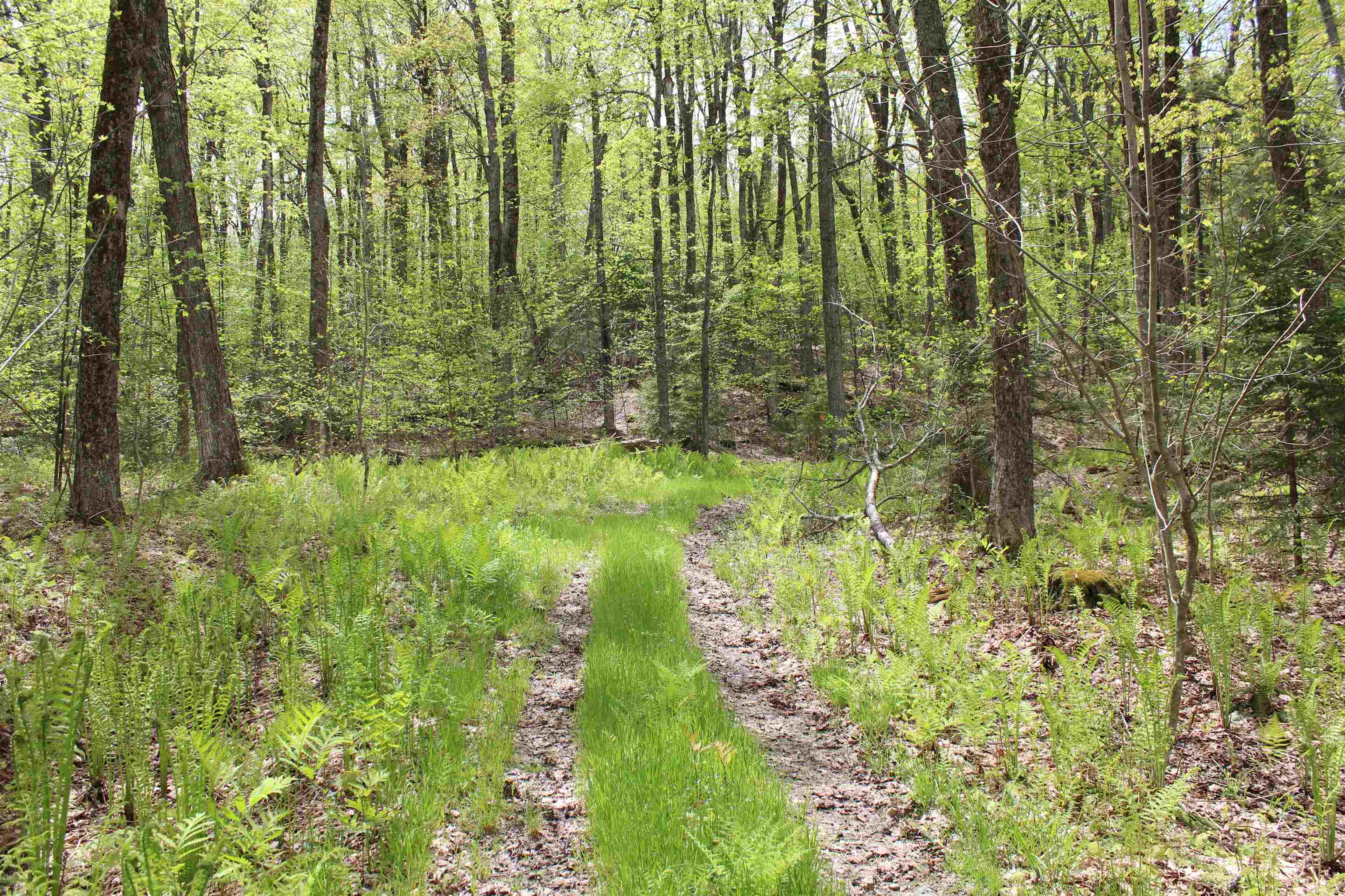00 Long Hill Road