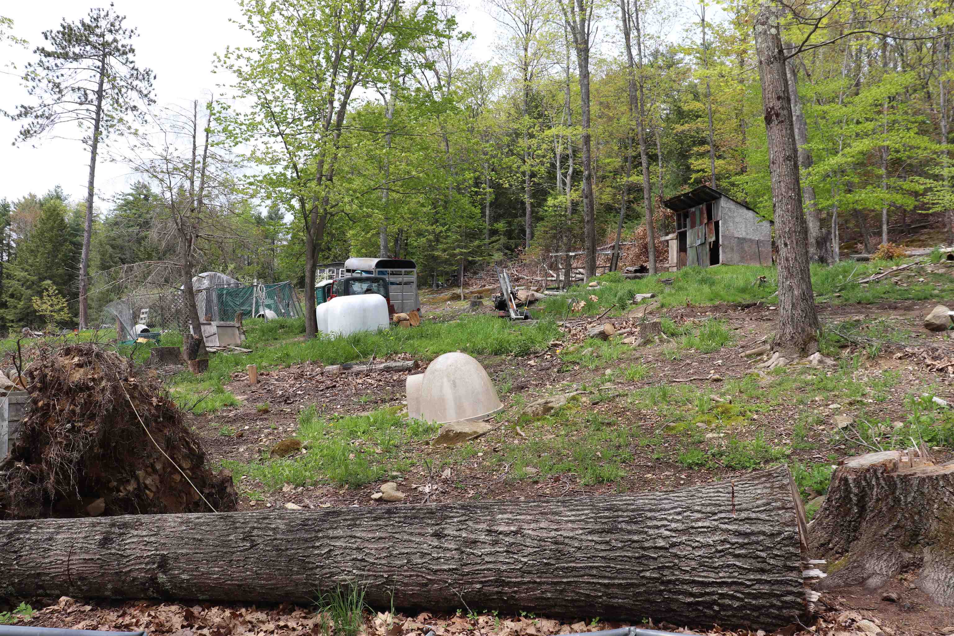 Ossipee, New Hampshire 03864, United States, 1 Bedroom Bedrooms, ,1 BathroomBathrooms,Residential,Active,19816