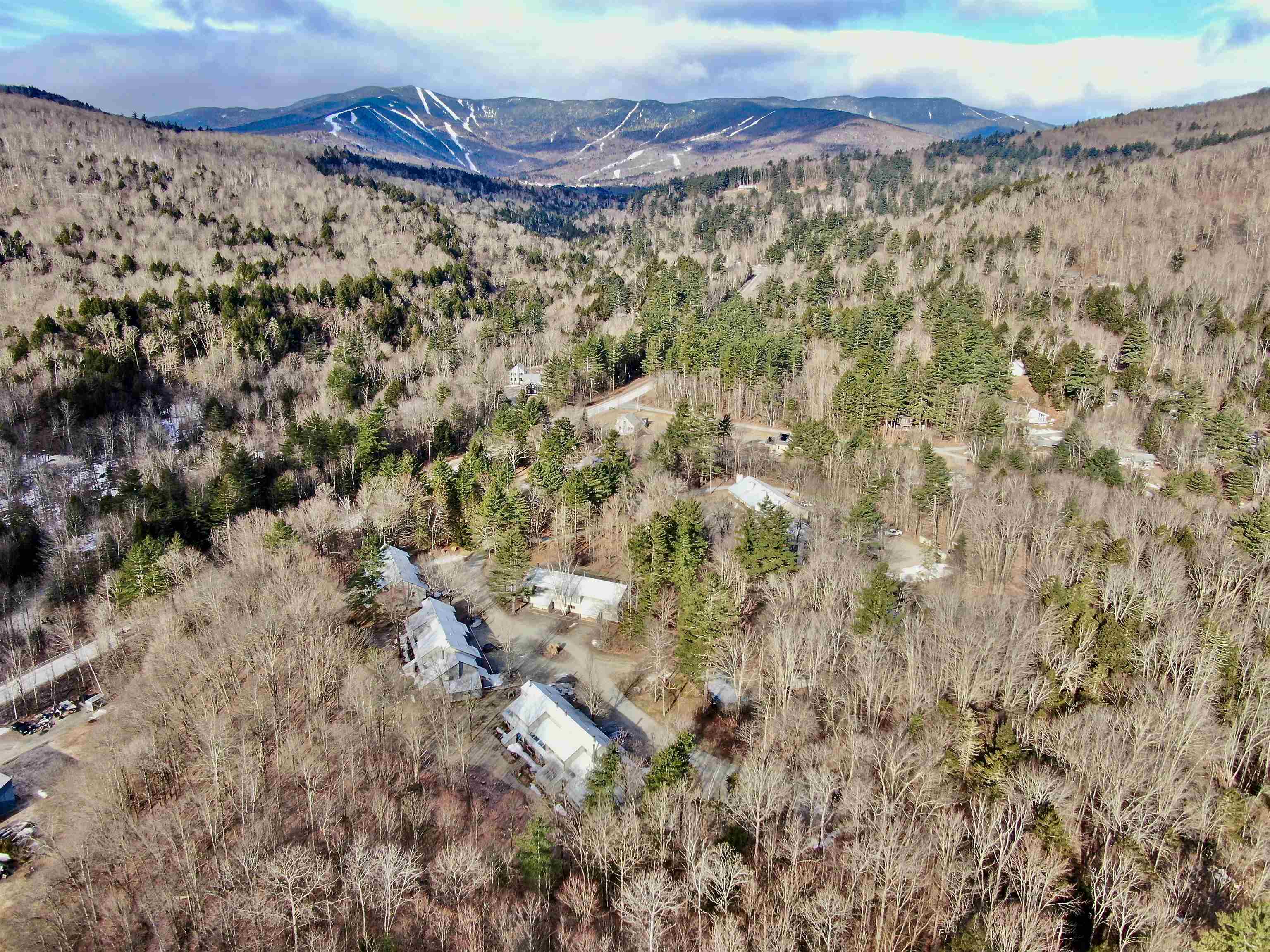 31 Christmas Tree Road 14