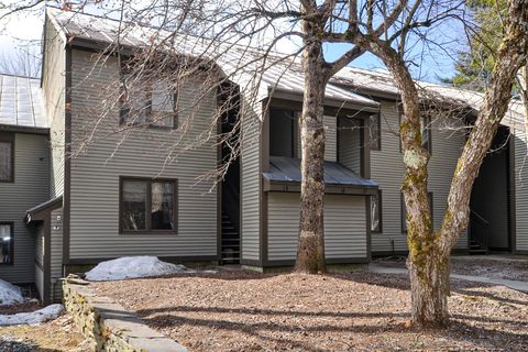 31 Christmas Tree Road 14 Warren VT 05674