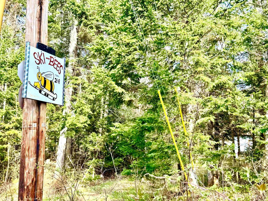 Photo of 40 Griffin Road, Stewartstown, NH 03576 (MLS # 5089705)