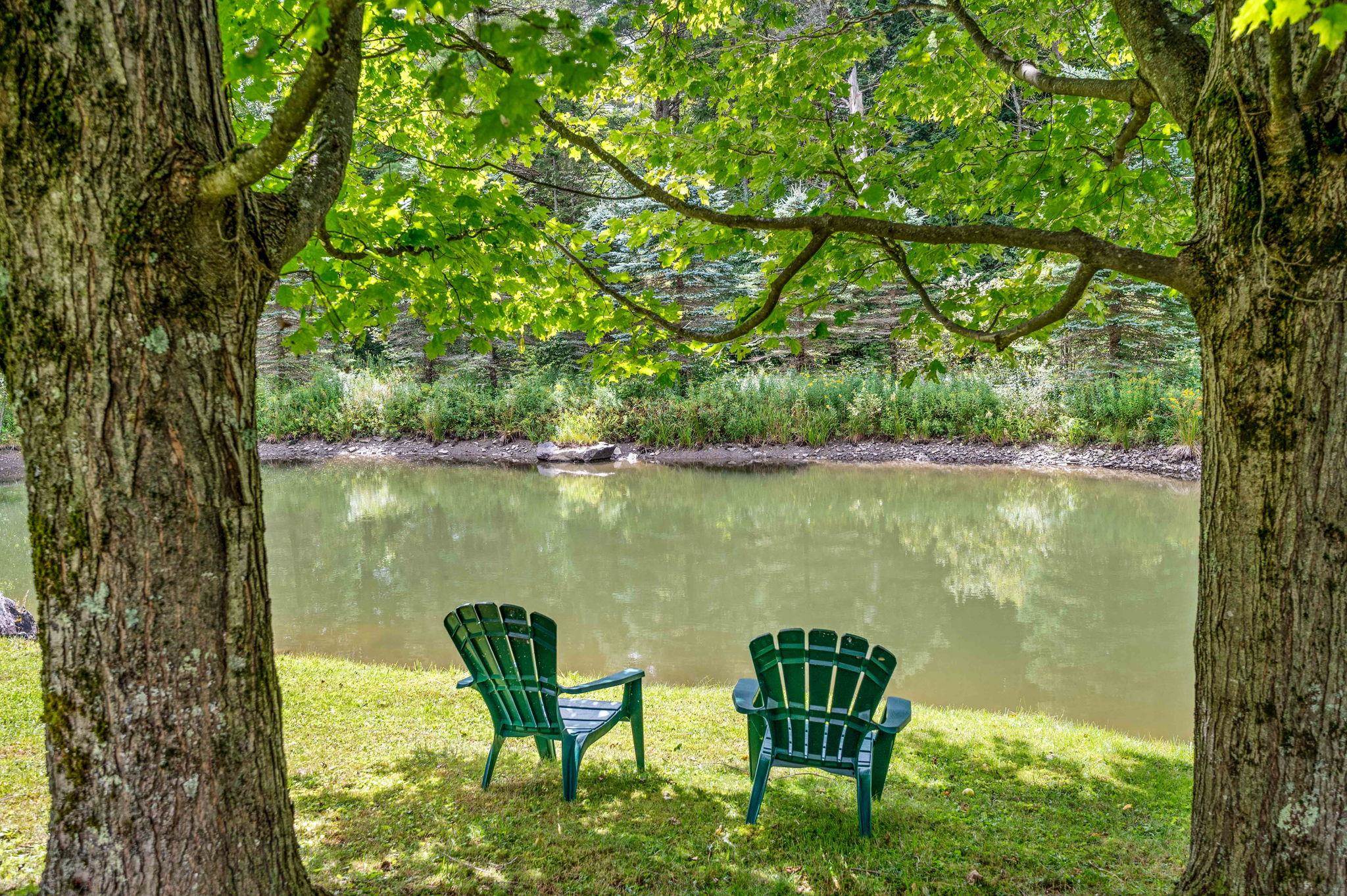 Elmore, Vermont 05661, United States, 4 Bedrooms Bedrooms, ,2 BathroomsBathrooms,Residential,Active,201994