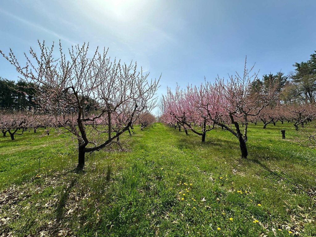 Photo of 00 Nartoff Road, Hollis, NH 03049 (MLS # 5066085)