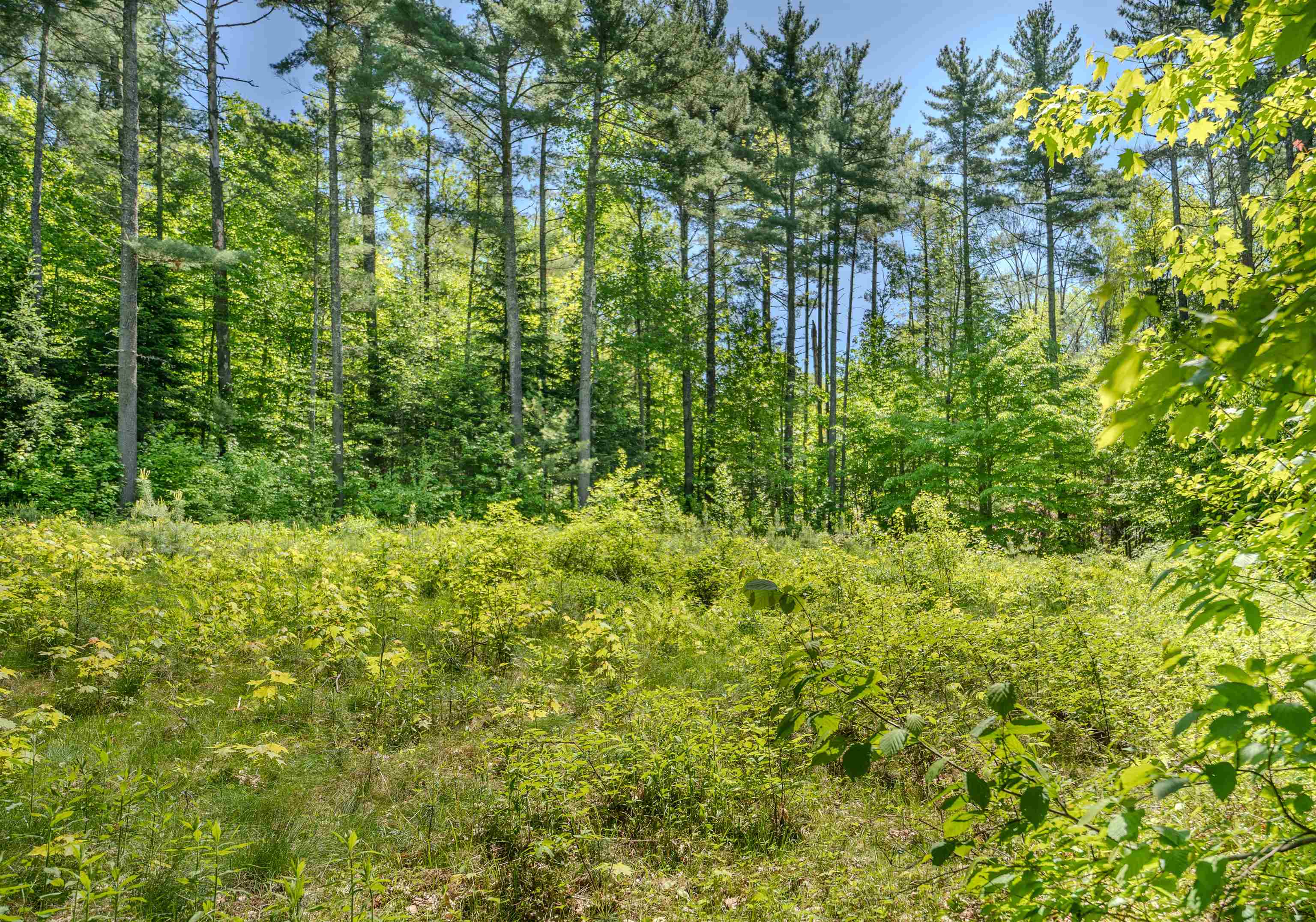 971 South Road