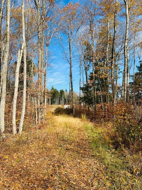 227 Gault Road Wardsboro VT 05355