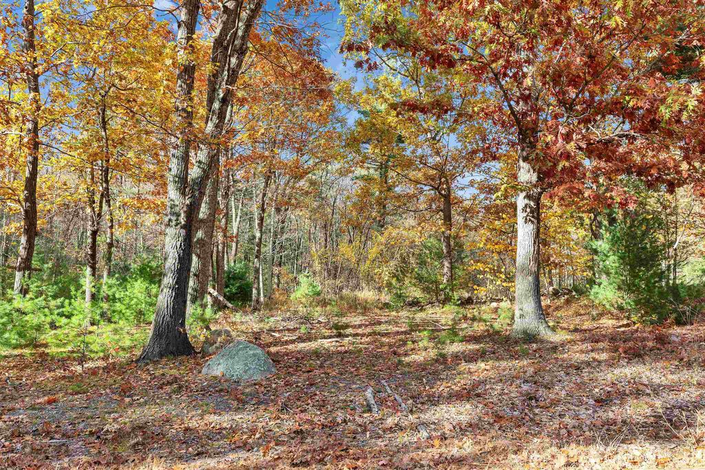 Photo of 9 Winterberry Road, Brookline, NH 03033 (MLS # 5068030)