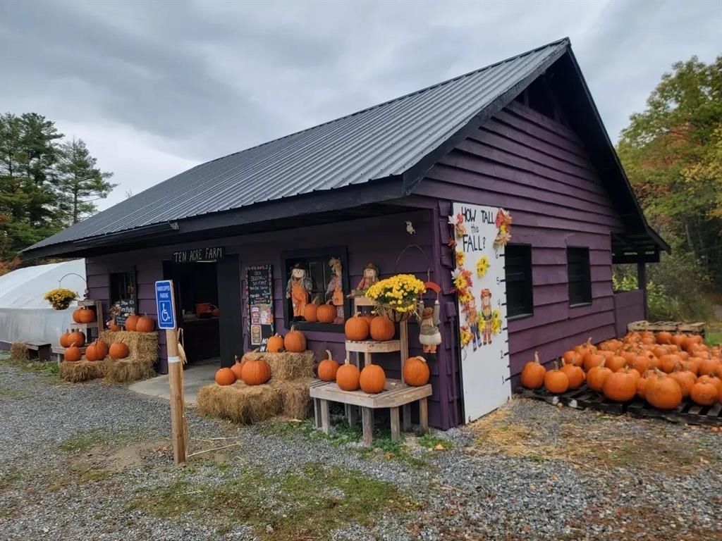 Photo of 279 Henniker Street, Hillsborough, NH 03244 (MLS # 5083773)