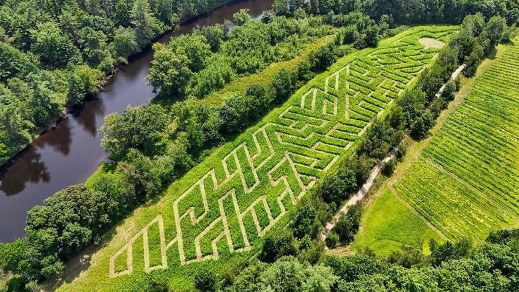 Photo of 279 Henniker Street, Hillsborough, NH 03244 (MLS # 5083773)