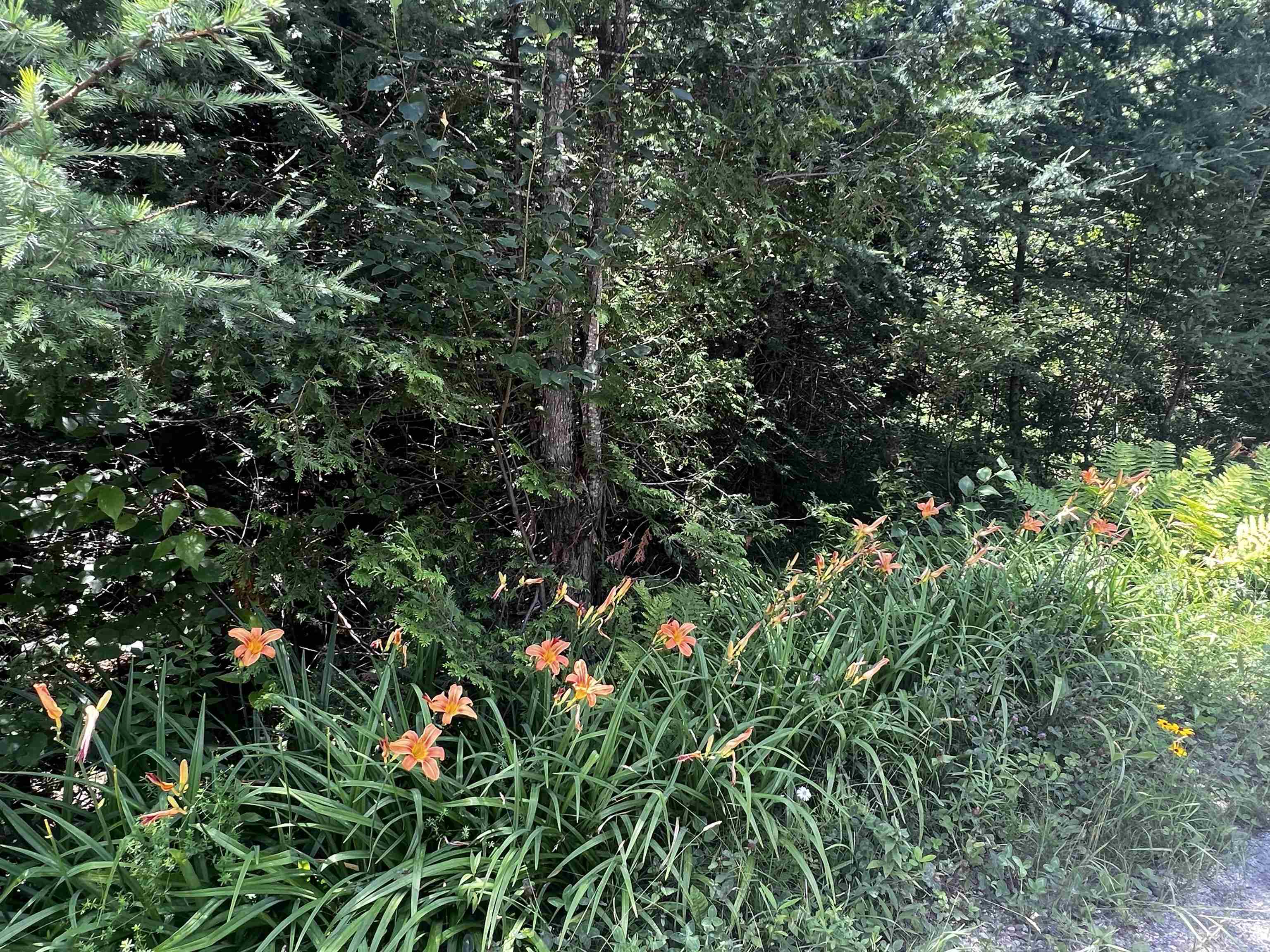 714 Carter Road