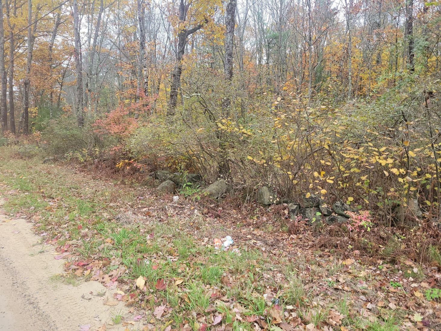 M2-l29-2 Province Road