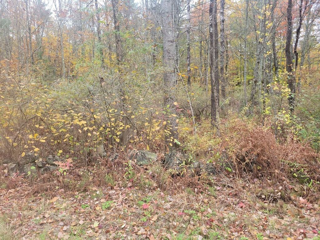 Photo of 2292 Province Road, Barnstead, NH 03218 (MLS # 5066524)