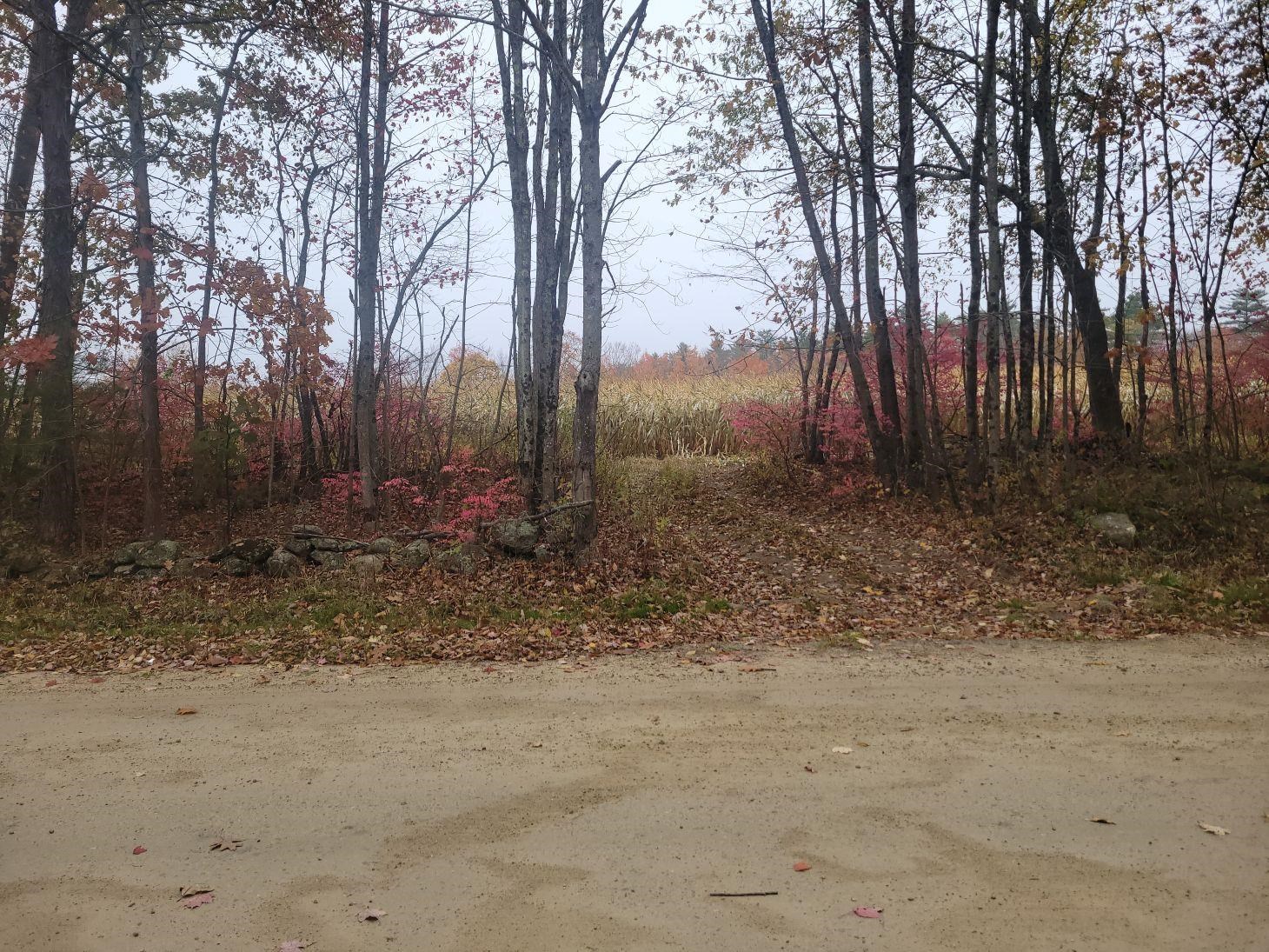 Barnstead, New Hampshire 03218, United States, ,Land,Active,231600