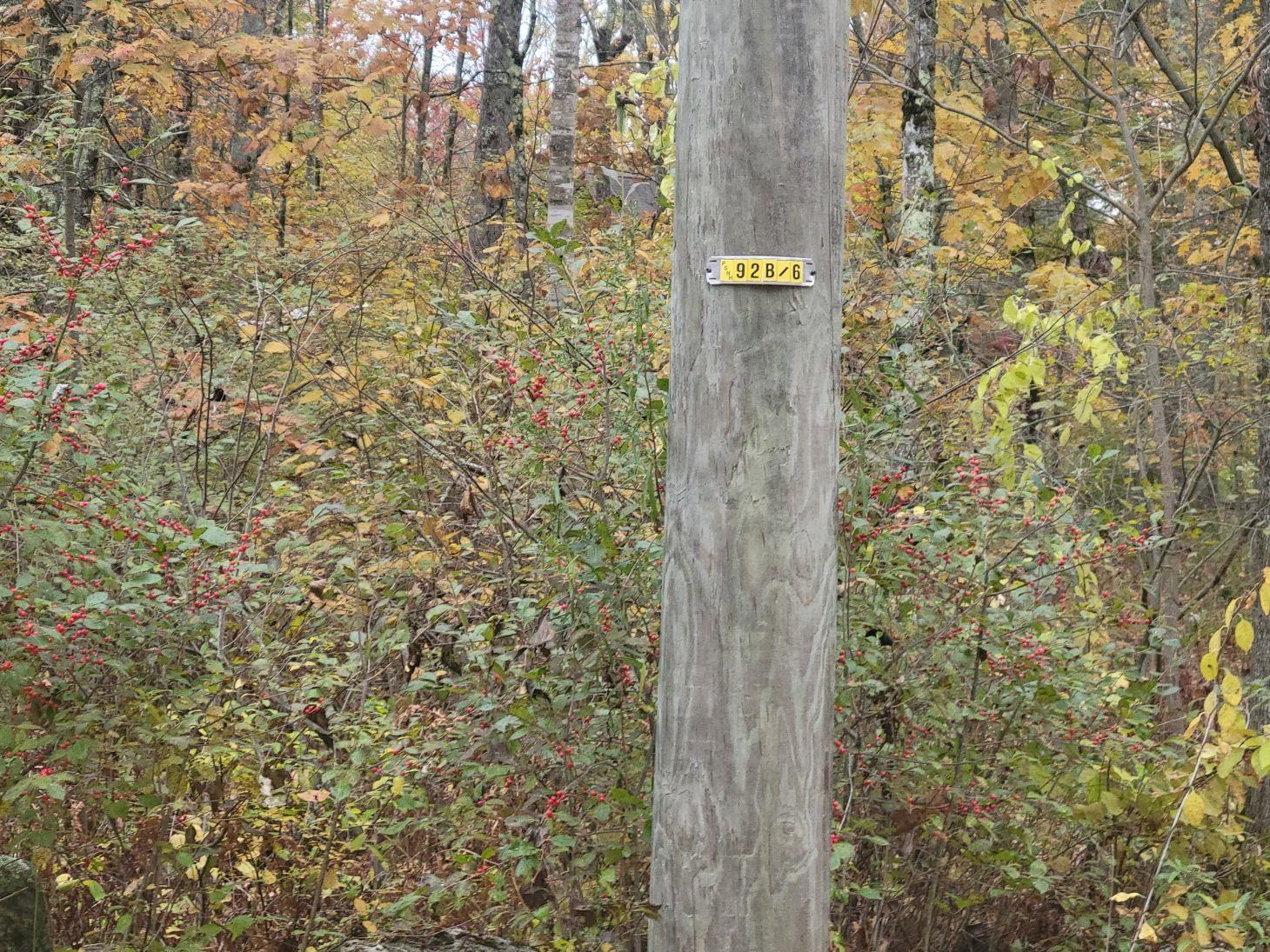 M2-l29-2 Province Road