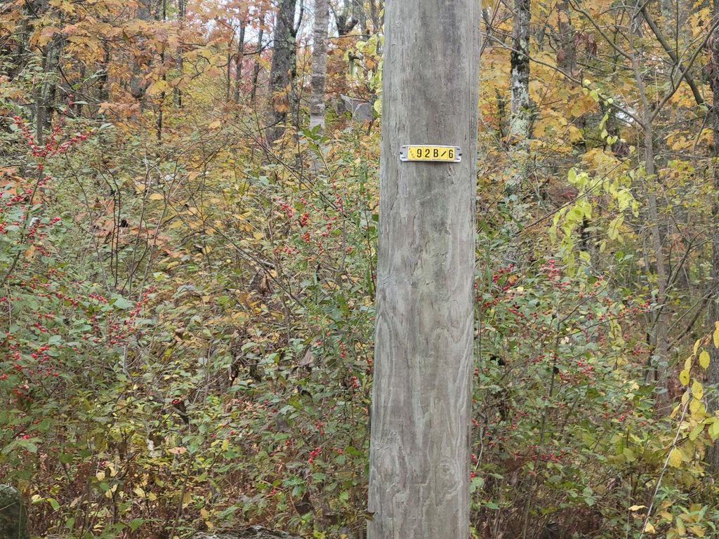 Photo of 2292 Province Road, Barnstead, NH 03218 (MLS # 5066524)