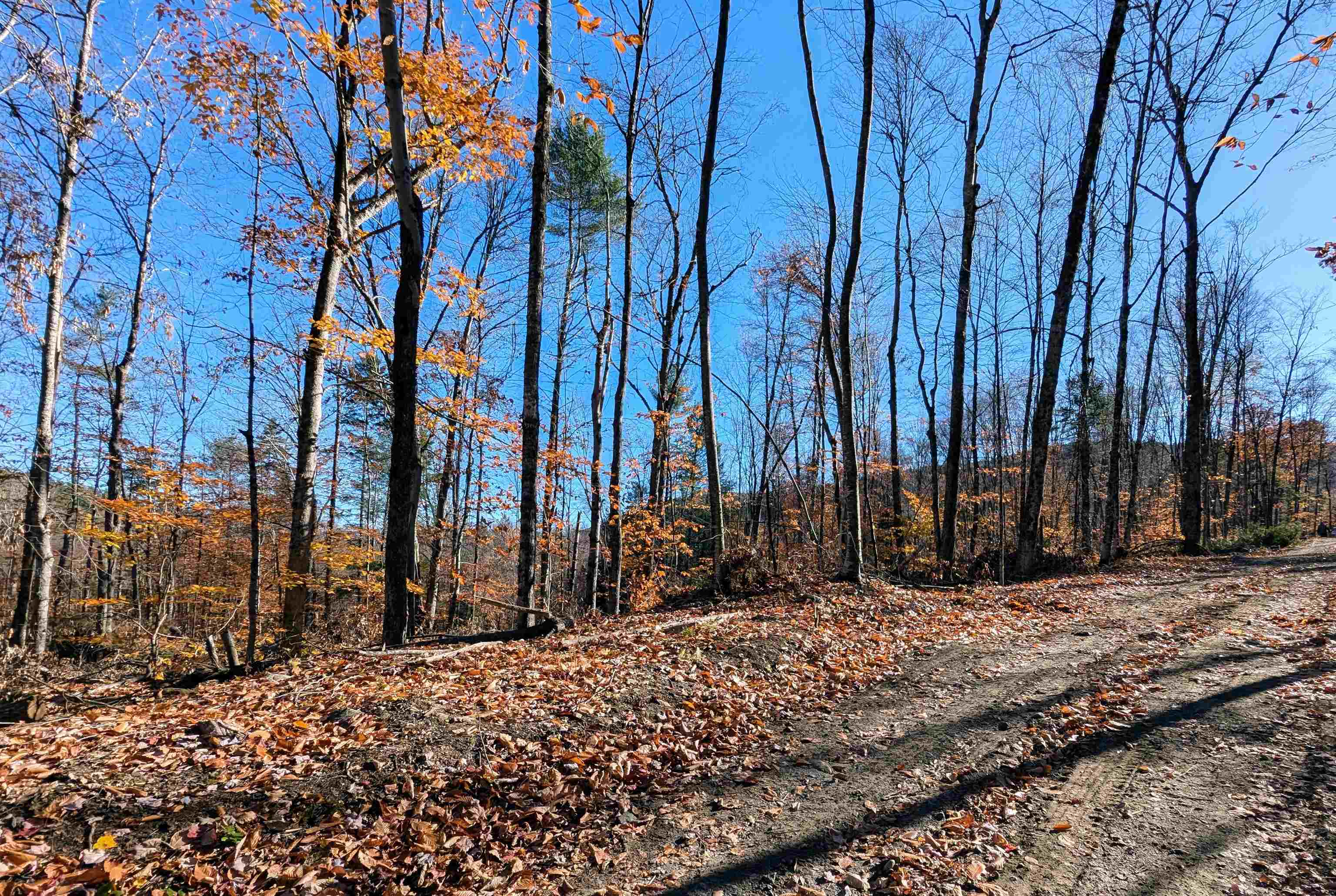 0 Dover Road Lot 4