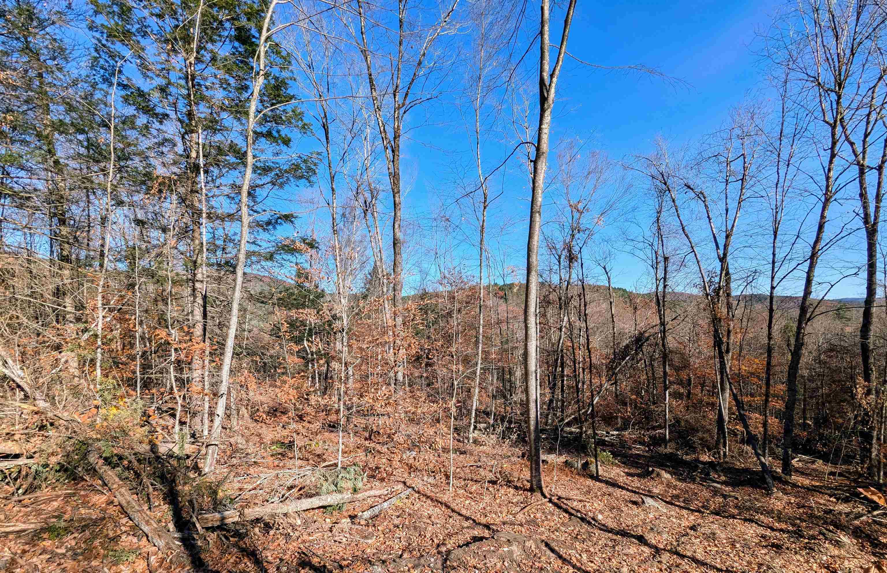 0 Dover Road Lot 4