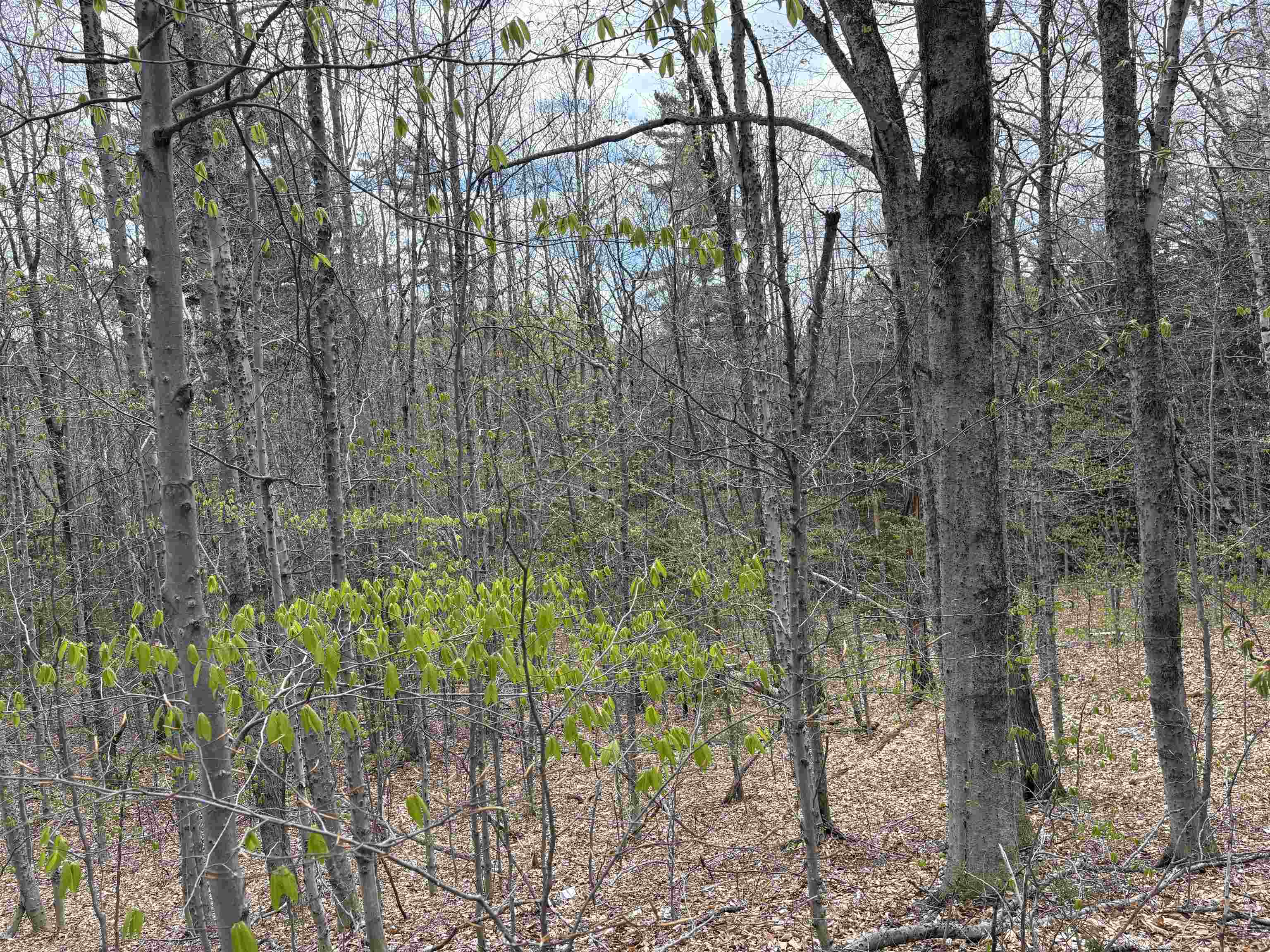 0 East Hill Road