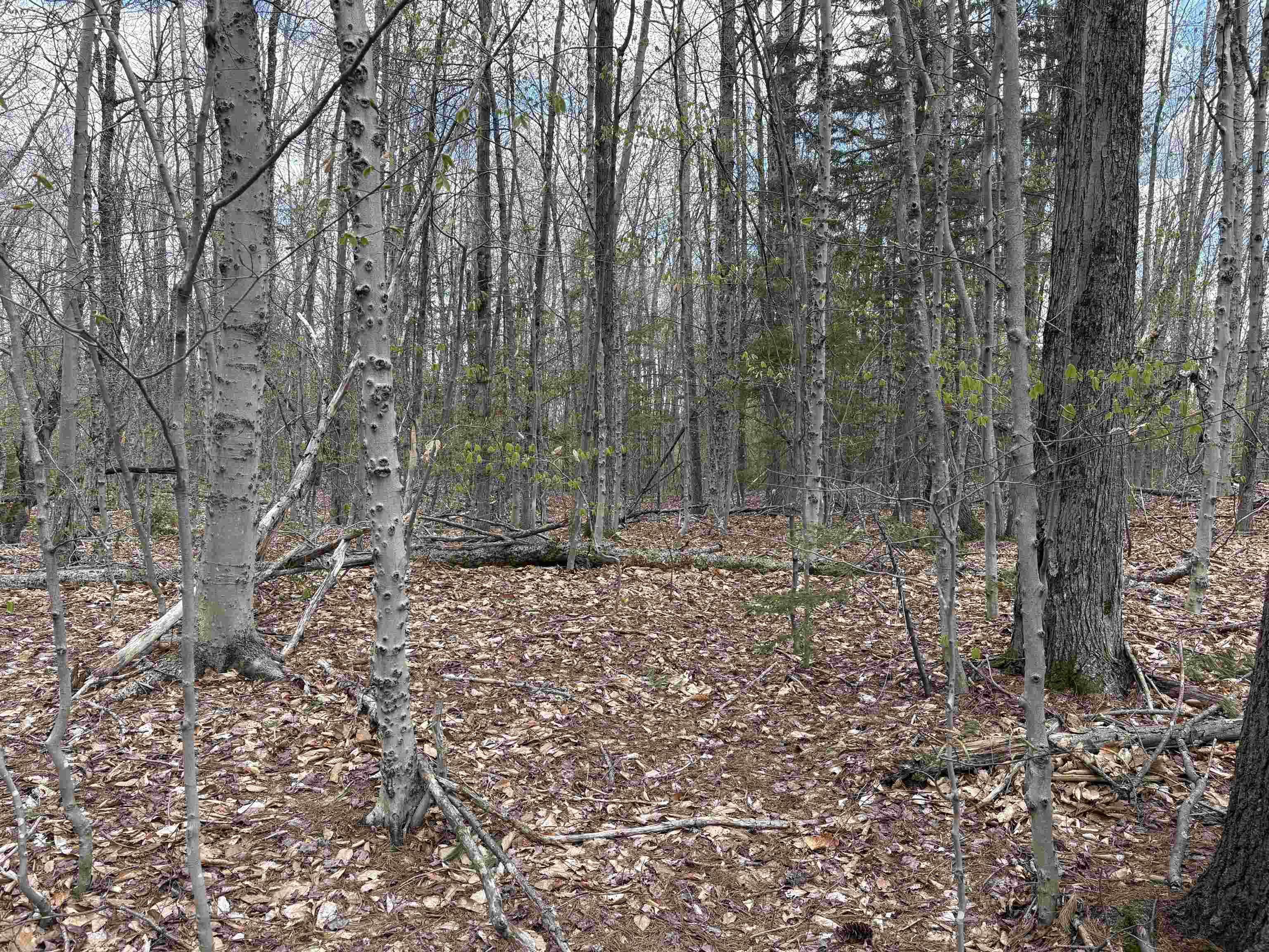 0 East Hill Road