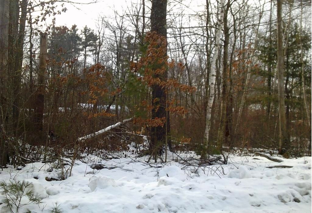 Photo of 8 Mark Avenue, Derry, NH 03038 (MLS # 5071165)