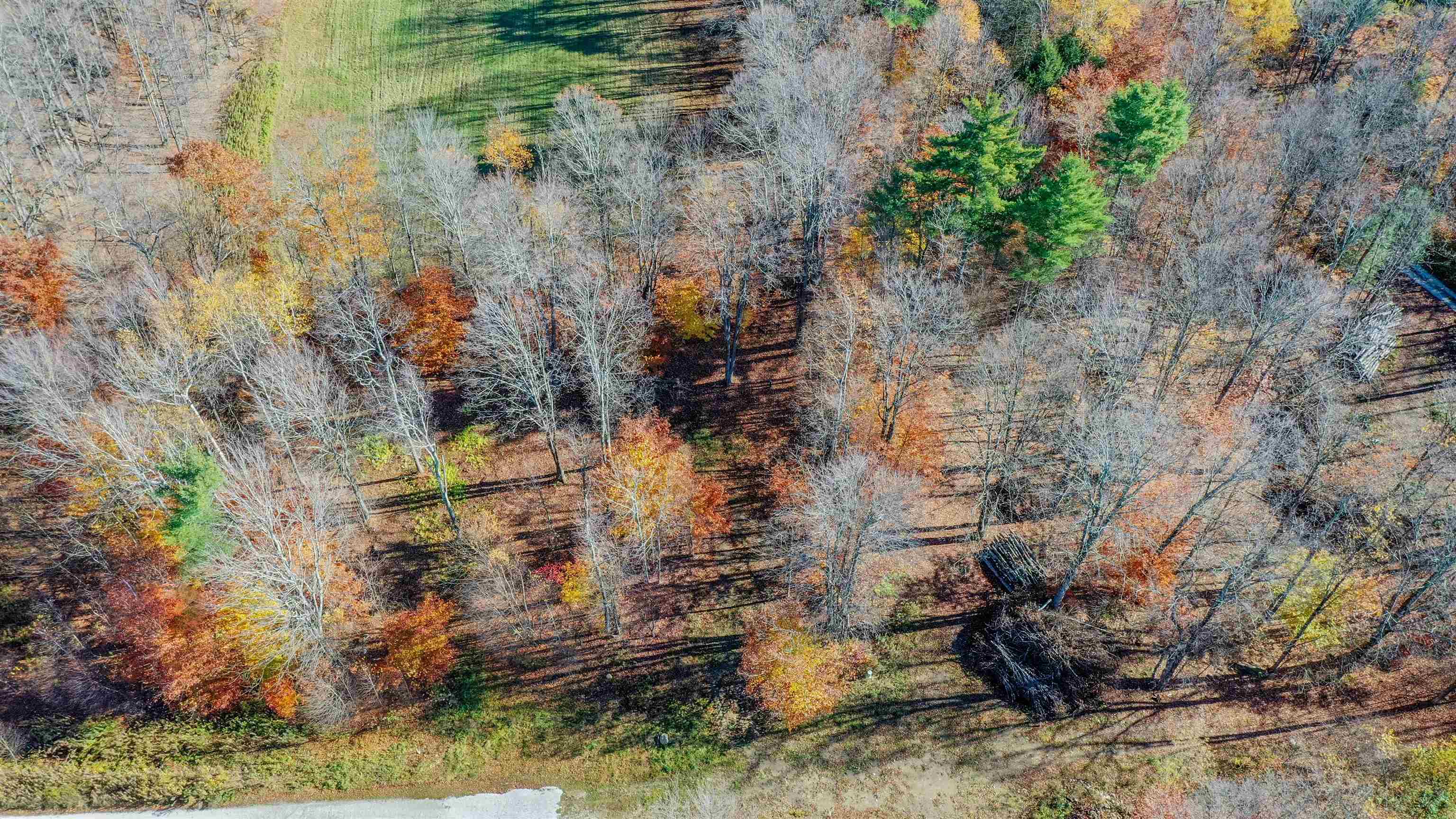 00 Pasquale Street 13