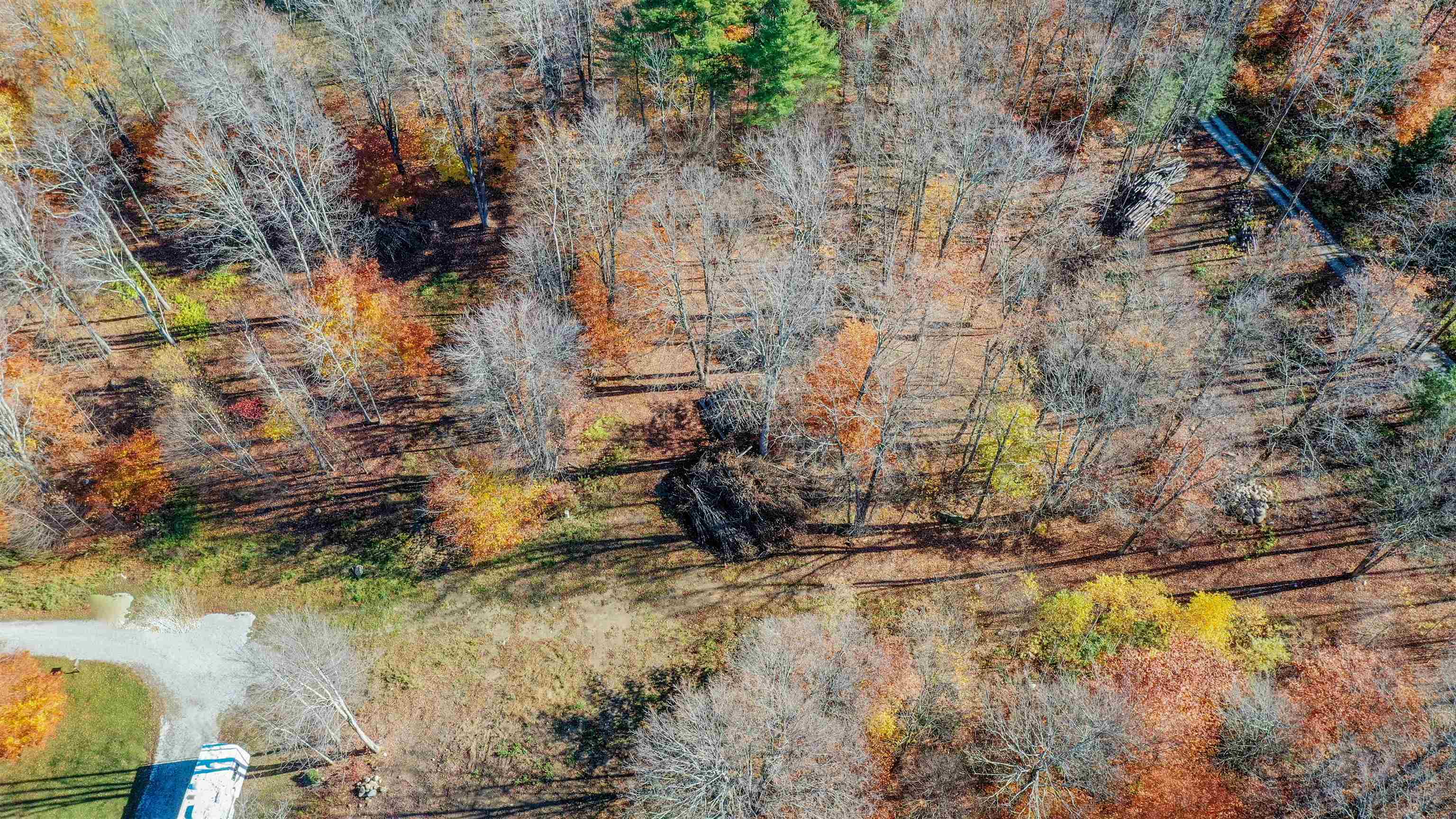 00 Pasquale Street 13