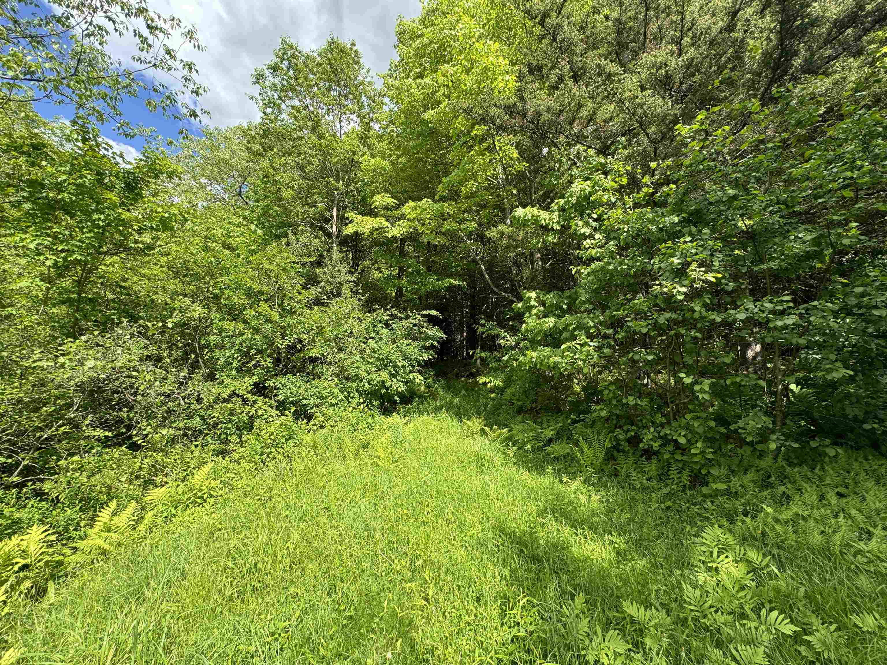 0 Hillside Drive Lot 46