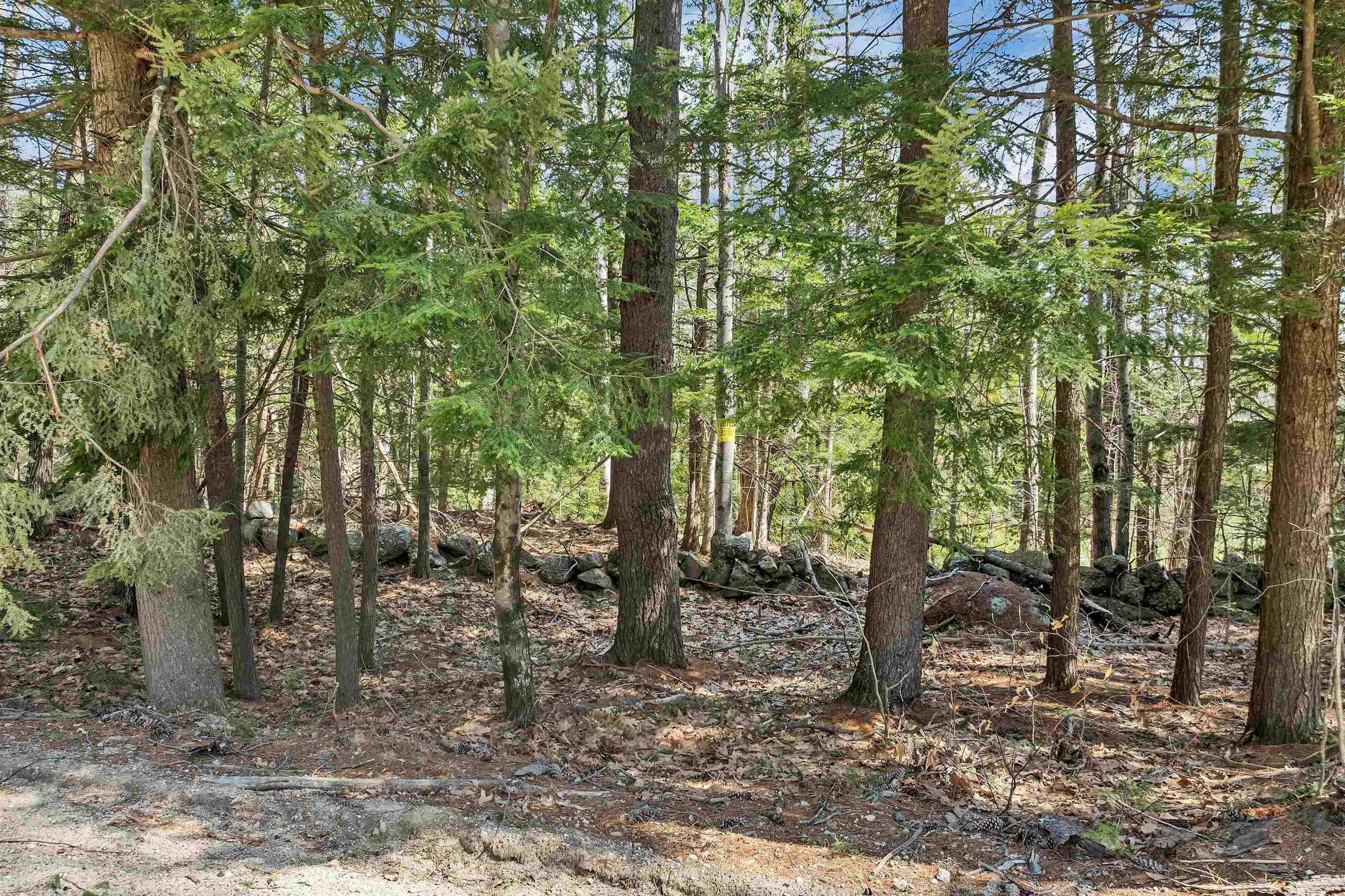 00 Eagle Ledge Road